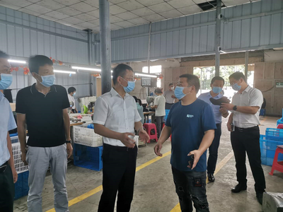 王建華在浮屠調研脫貧攻堅、鄉村振興和巡視反饋問題整改工作