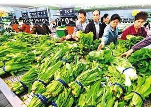 春節前菜市場探秘 蔬菜、水產、肉類價格與供應全解析