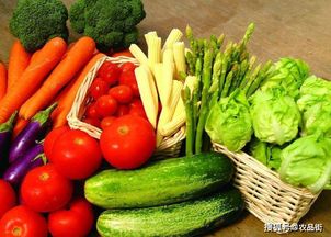 農業(yè)社交電商 綠色食品博覽會中的農產(chǎn)品銷售新篇章